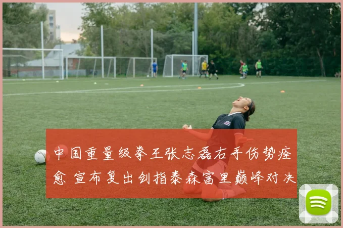 中国重量级拳王张志磊右手伤势痊愈 宣布复出剑指泰森富里巅峰对决