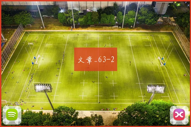 文章_63